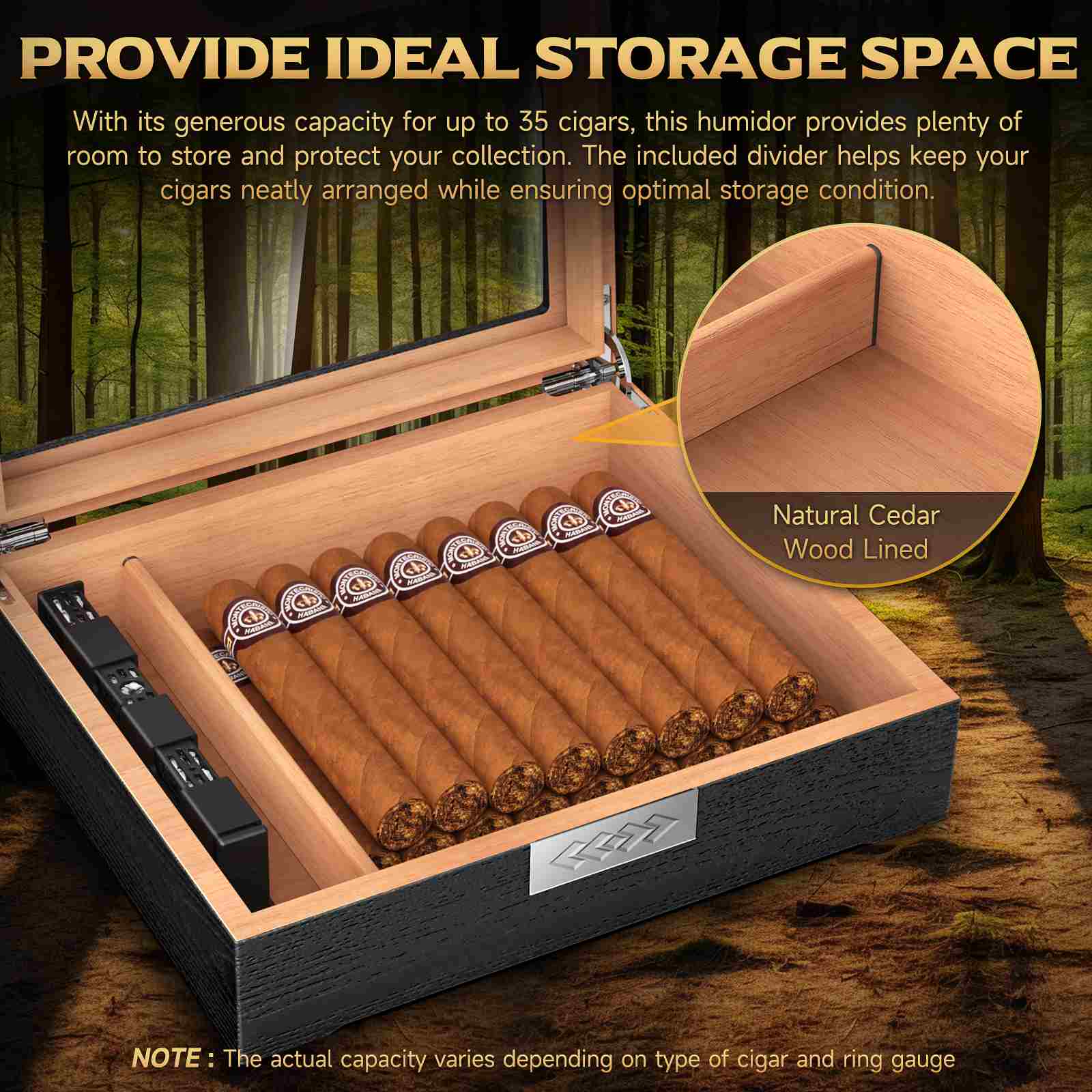 Gift Set — Cedar Essentials